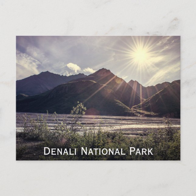 Alaska Sunbeams | Cartão Postal (Frente)