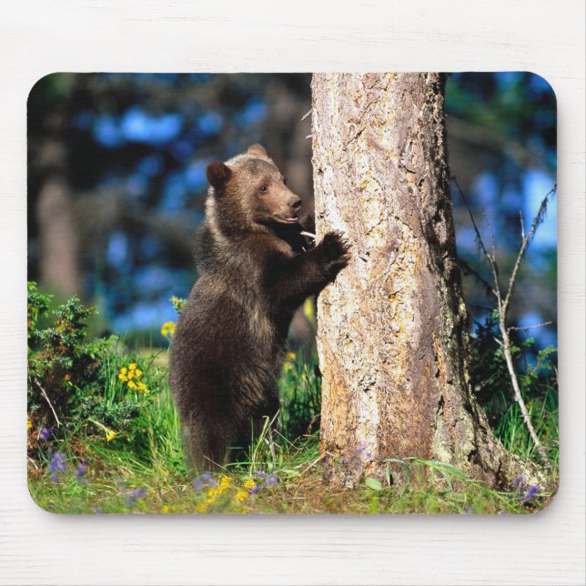 Alaskan Grizzly Bear Cub Mouse Pad (Frente)