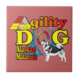 Alaskan Malamute Agilidade