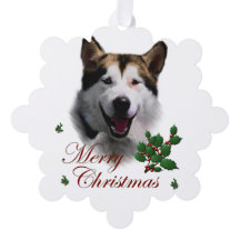 Alaskan Malamute Natal