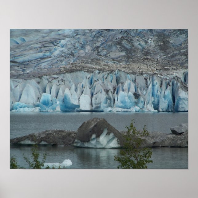 Alaskan Wilderness Poster Impressão (Frente)