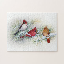 Albino Cardinal Visita a Quebra-cabeça de Jigsee