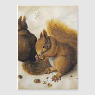 Albrecht Durer - Dois esquilos