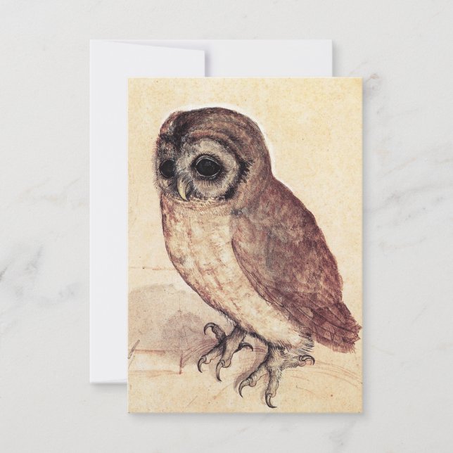 Albrecht Durer, Os Pequenos Convites De Coruja (Frente)