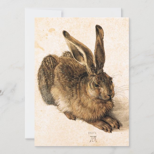 Albrecht Durer Young Hare Convites (Frente)