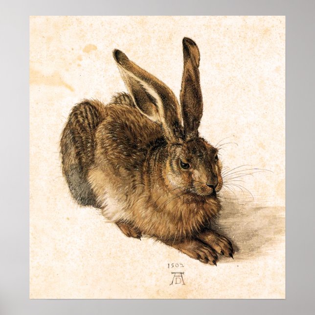 Albrecht Durer Young Hare Poster (Frente)