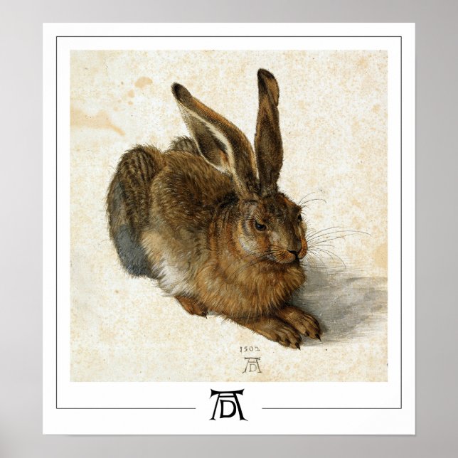 Albrecht Dürer Zedign Art Poster nº 6 (Frente)