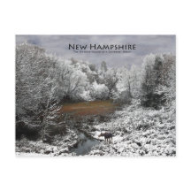 Alce em arco de neve: Cartão postal New Hampshire