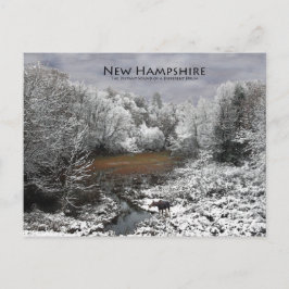 Alce em arco de neve: Cartão postal New Hampshire