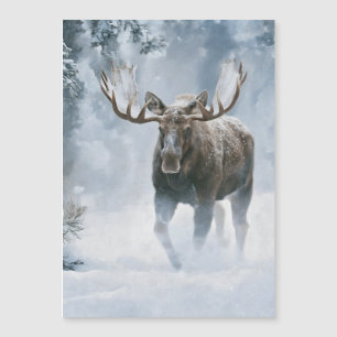 Alce Macho Caminhando pela Neve Boreal