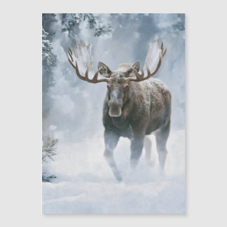 Alce Macho Caminhando pela Neve Boreal