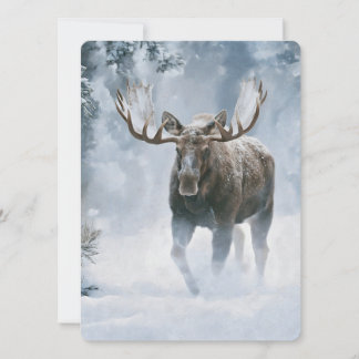 Alce Macho Caminhando pela Neve Boreal