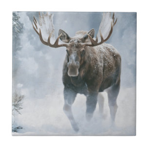 Alce Macho Caminhando pela Neve Boreal