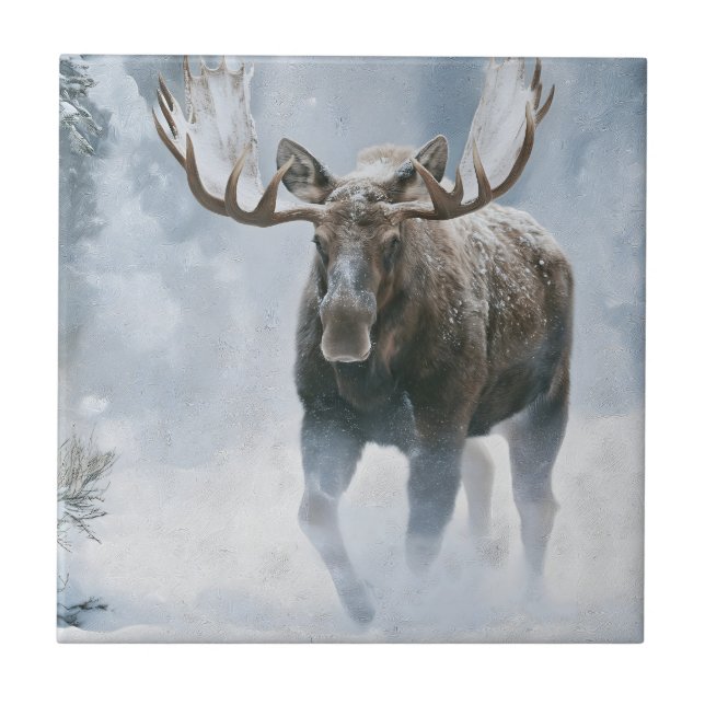 Alce Macho Caminhando pela Neve Boreal (Frente)