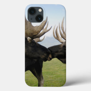 Alces