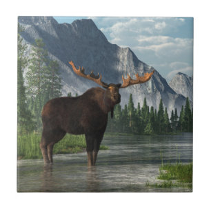 Alces de Bull