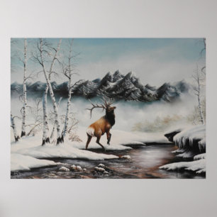 Alces meados de do inverno no impressão da neve