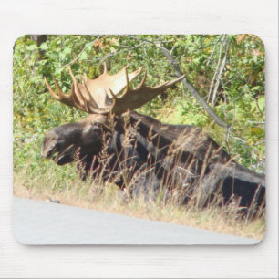 Alces Mousepad do peekaboo