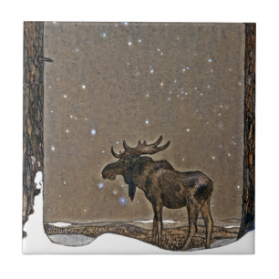 Alces na neve