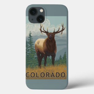 Alces SceneColorado