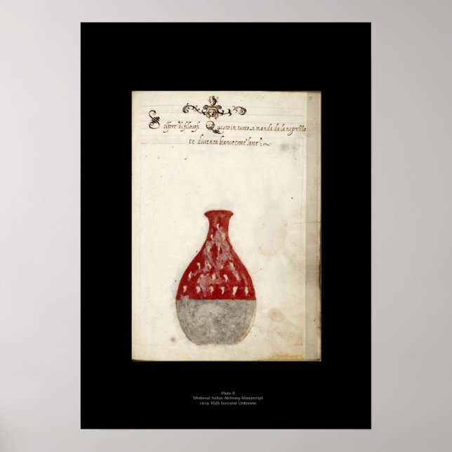 Alchemy Poster Plate 9 Medieval italiana (Frente)