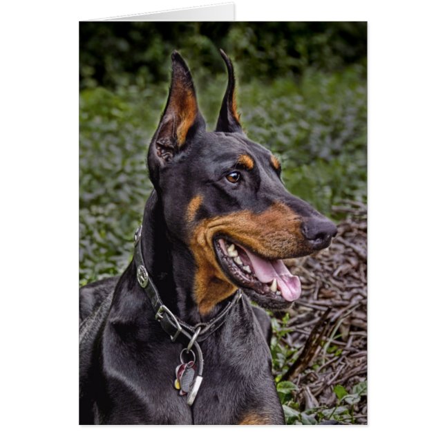 Alegria do Doberman! Cartão (Frente)