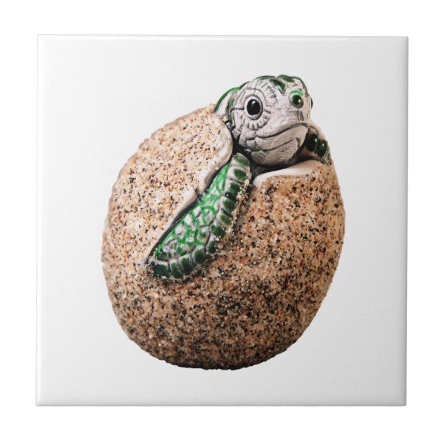 ALEGRIA DO NASCIMENTO (Frente)