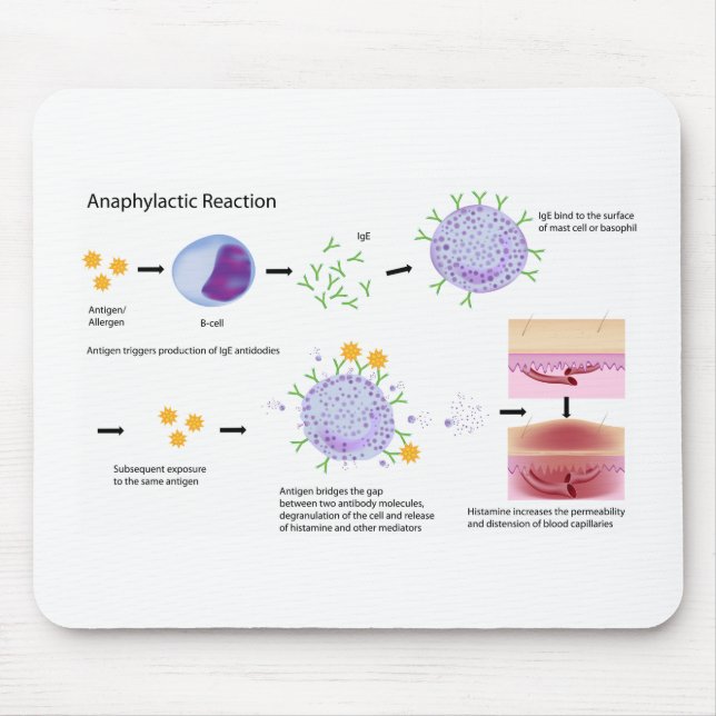 Alergia Mousepad para a Faculdade de Medicina (Frente)