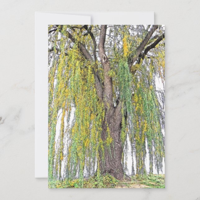 ALERTA/AMARELO E VAZIO VERDE (Frente)