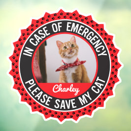 Alerta de Segurança de Gatos Personalizado para So