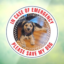 Alerta de Segurança para Animais de Estimação Foto