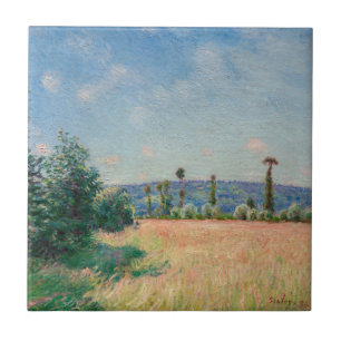 Alfred Sisley - Sahurs Meadows na manhã do sol