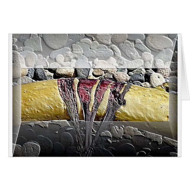 Alga pintada cartão (Frente Horizontal)