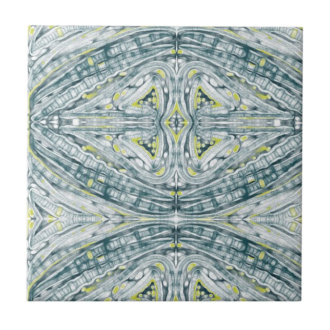 Algas Em Vidro (Frente)