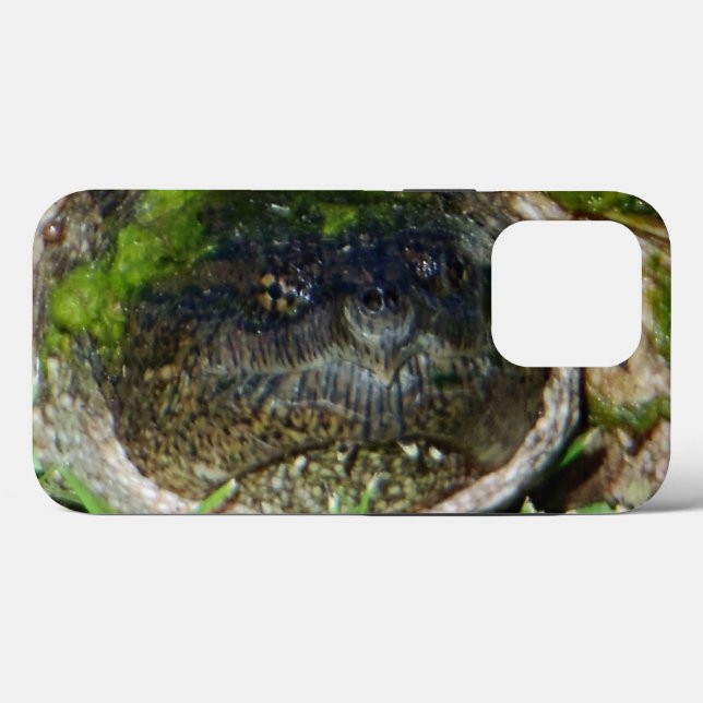 Algas Face Snapper Turtle (Verso (horizontal))