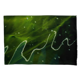 Algas Verdes e Pcccnm de Água