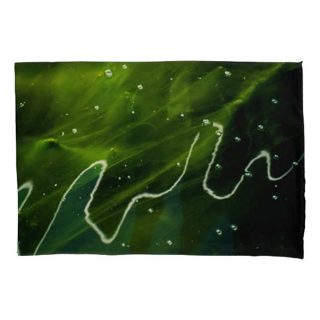 Algas Verdes e Pcccnm de Água (Frente)