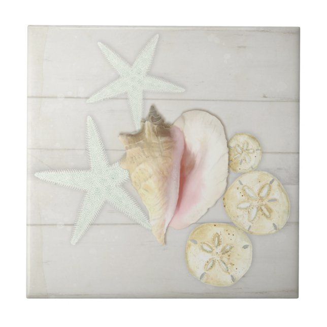 Algodão da Praia Starfish Sandoz Conch Shell Wood (Frente)