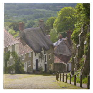Algodão em Dourado Hill, Shaftesbury, Dorset,