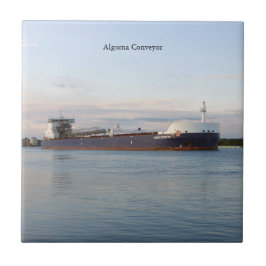 Algoma Conveyor azulejo