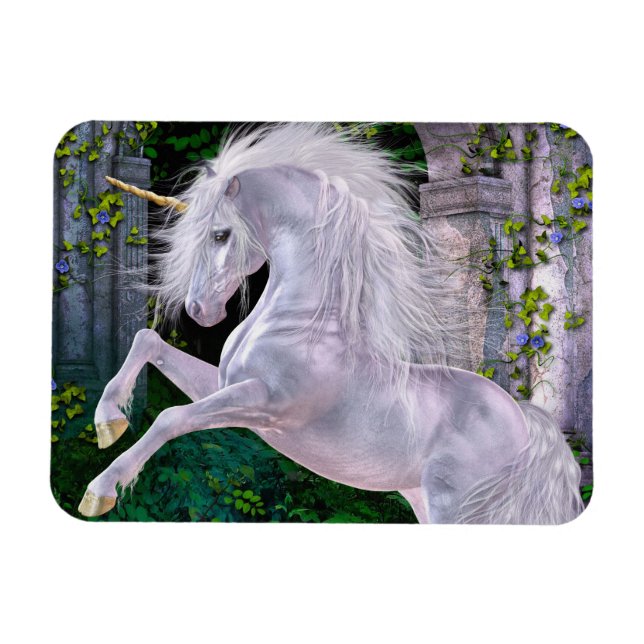 Algum ímã Flexi Noturno Encantado (Horizontal)