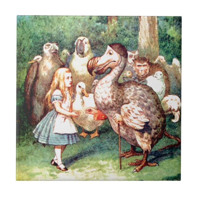 Alice e o pássaro do Dodo no país das maravilhas (Frente)