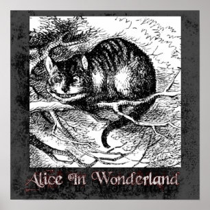 Alice In Wonderland 35 Poster