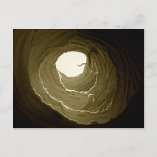 Alice no cartão do furo de coelho do país das