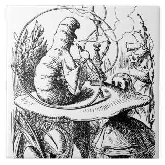 Alice no país das maravilhas - Alice encontra