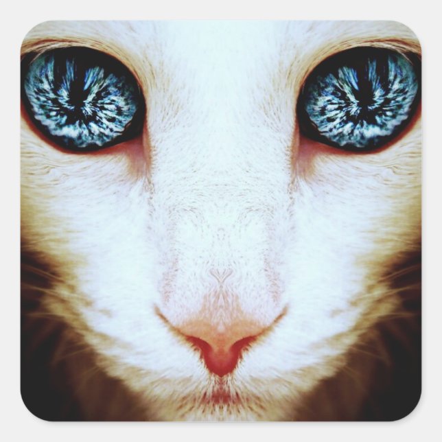 alienígena de gato - adesivos (Frente)