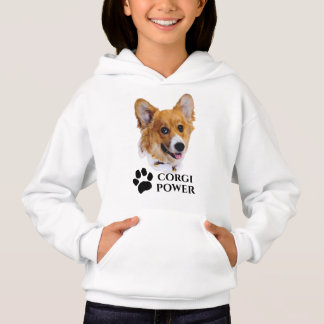 Alimentação Corgi