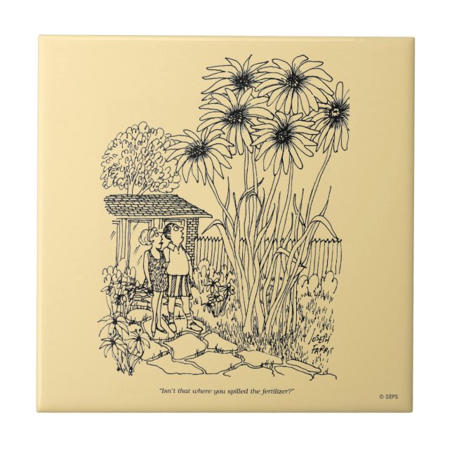 Alimentador de aves vazio (Frente)