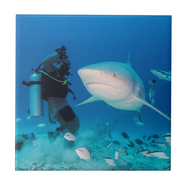 Alimentando a Bull (Frente)