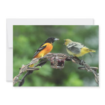 Alimente-me - Cartão de Saudação Simples